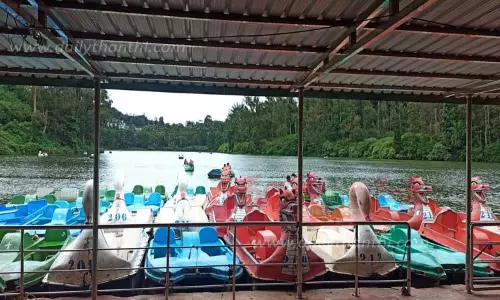 நீலகிரிக்கு சுற்றுலா பயணிகள் வருகை குறைந்தது