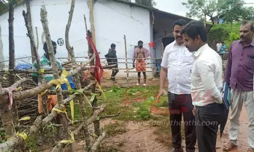 கனிமவியல் துணை இயக்குனர் ஆய்வு