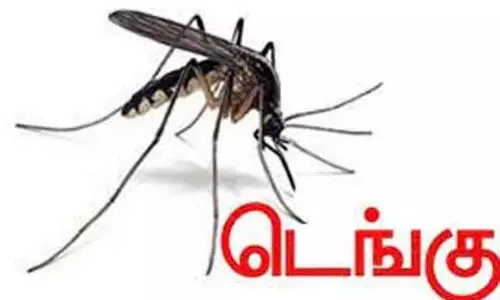 டெங்கு காய்ச்சல் முன்எச்சரிக்கை பணிகள் தீவிரம்