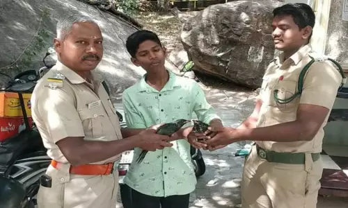 பொள்ளாச்சி அருகே குயில் குஞ்சுகளை மீட்டு வனத்துறையிடம் ஒப்படைத்த மாணவர்