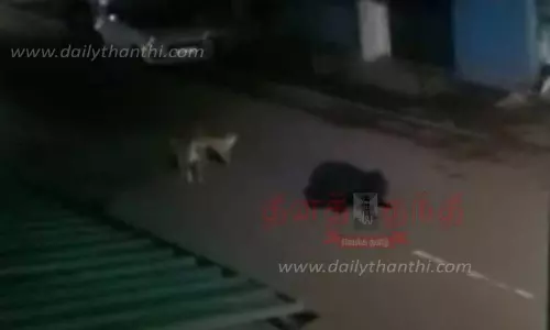 தேவர்சோலை பஜாருக்குள் கரடி புகுந்தது தேவர்சோலை பஜாருக்குள் கரடி புகுந்தது