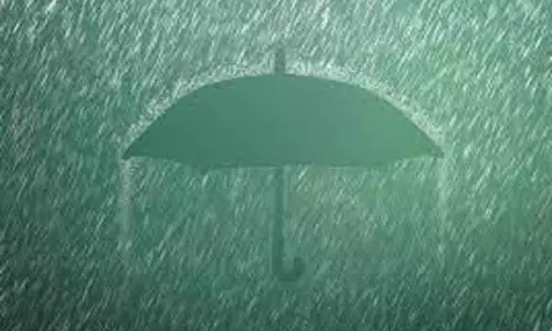 திருப்பத்தூரில் பலத்த மழை