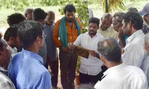 விருத்தாசலத்தில் தேனீ வளர்ப்பு குறித்து விவசாயிகளுக்கு பயிற்சி