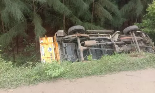 திருமணகோஷ்டியினர் சென்ற சரக்கு வாகனம் கவிழ்ந்து 13 பேர் காயம்