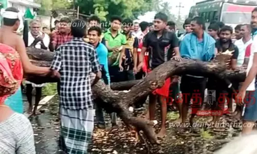 பவானி அருகே சூறைக்காற்றுடன் பலத்த மழை; வேருடன் சாய்ந்த வேப்ப மரம்