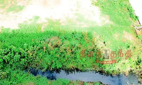 அந்தியூர் தவுட்டுப்பாளையம் பகுதியில் தேங்கி நிற்கும் கழிவுநீரால் நோய் பரவும் அபாயம்