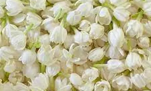 சத்தியமங்கலம் பூ மார்க்கெட்டில் மல்லிகை பூ கிலோ ரூ.1,435-க்கு ஏலம்