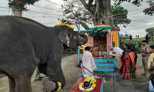 விநாயகரை வணங்கிய வளர்ப்பு யானைகள்