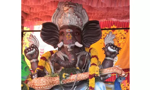 மாவட்டம் முழுவதும் 600 சிலைகள் வைத்து வழிபாடு