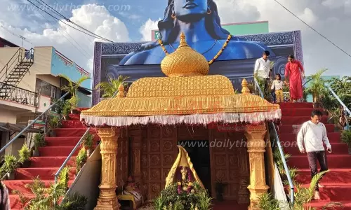 தேன்கனிக்கோட்டையில்விநாயகர் சிலை வைத்து பக்தர்கள் வழிபாடு