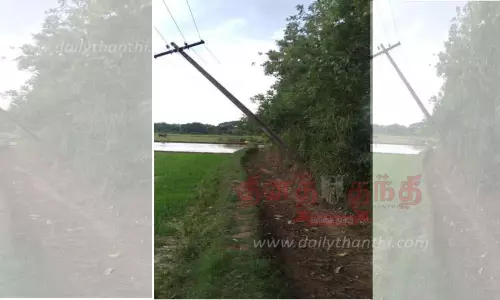 வயல்வெளி பகுதியில் சாய்ந்து ஆபத்தான நிலையில் உள்ள மின்கம்பம்