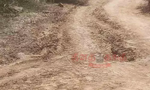 மண் சாலையில் விளைபொருட்களை கொண்டு செல்வதில் சிரமம் மண் சாலையில் விளைபொருட்களை கொண்டு செல்வதில் சிரமம்