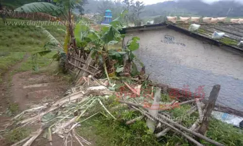 தேயிலை தோட்ட தொழிலாளர்  குடியிருப்பில் யானைகள் அட்டகாசம்; அரிக்கொம்பன் புகுந்ததாக பரபரப்பு