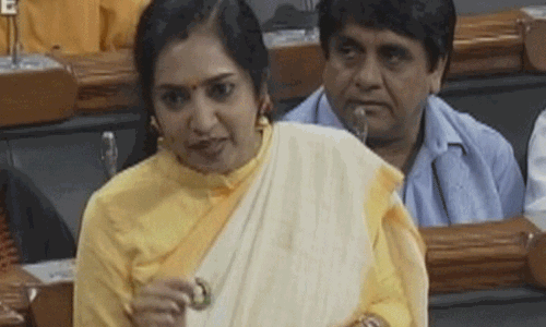 மகளிர் இடஒதுக்கீடு மசோதாவுக்கு திமுக ஆதரவு- தமிழச்சி தங்கபாண்டியன் எம்.பி.