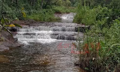 வால்பாறையில் விட்டு விட்டு கனமழை: வனப்பகுதி நீரோடைகளில் தண்ணீர் வரத்து அதிகரிப்பு