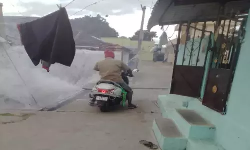 நெகமம் பேரூராட்சியில் டெங்கு தடுப்பு பணி