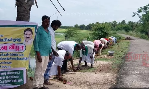 பனை விதைகள் நடும் பணி