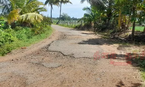 பரவாக்கோட்டை-இலுப்பைதோப்பு சாலை சீரமைக்கப்படுமா? பரவாக்கோட்டை-இலுப்பைதோப்பு சாலை சீரமைக்கப்படுமா?