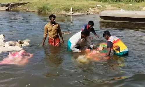 49 விநாயகர் சிலைகள் ஊர்வலமாக எடுத்துச்செல்லப்பட்டு அமராவதி ஆற்றில் கரைப்பு 49 விநாயகர் சிலைகள் ஊர்வலமாக எடுத்துச்செல்லப்பட்டு அமராவதி ஆற்றில் கரைப்பு