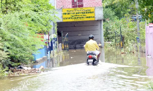 தோட்டக்கலைத்துறை அலுவலகத்தை மழைநீர் சூழ்ந்தது