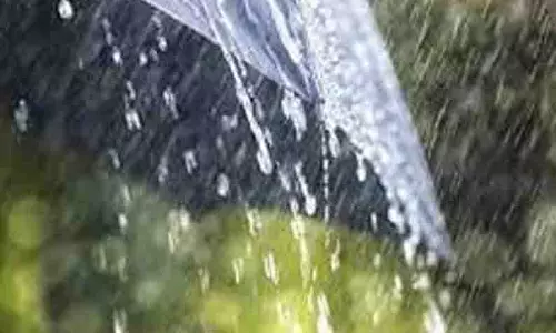 கடந்த 2 நாட்களில் திருப்புவனத்தில் 96.50 மி.மீ. மழை பதிவு