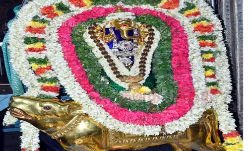 பிள்ளையார்பட்டி கற்பக விநாயகருக்கு முக்குறுணி கொழுக்கட்டை படையல்