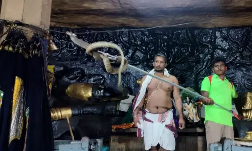 பெருமாள் கோவிலுக்குள் புகுந்த 8 அடி நீள சாரைப்பாம்பு பிடிபட்டது