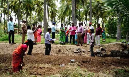 வளர்ச்சி பணிகளை கலெக்டர் ஆய்வு