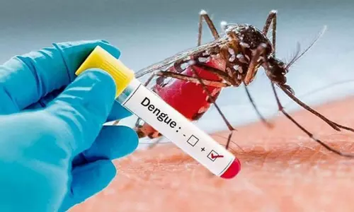 கும்பகோணம் அரசு ஆஸ்பத்திரியில் 6 பேருக்கு டெங்கு உறுதி கும்பகோணம் அரசு ஆஸ்பத்திரியில் 6 பேருக்கு டெங்கு உறுதி