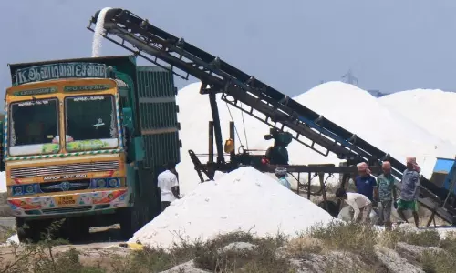 உப்பு உற்பத்தி அதிகரிப்பால் விலை குறைவு