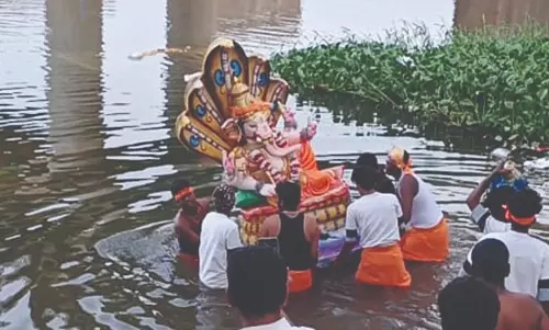 விநாயகர் சிலைகள் அமராவதி ஆற்றில் கரைப்பு