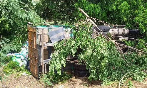 திண்டிவனம்   அருகே        உப்பு மூட்டைகளை ஏற்றி வந்த லாரி வாய்க்காலில் கவிழ்ந்தது;   டிரைவர் உள்பட 2 பேர் படுகாயம்