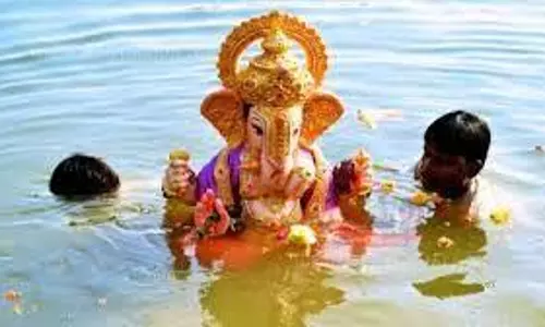 விநாயகர் சிலை கரைக்க சென்ற வாலிபர் நீரில் மூழ்கி பலி