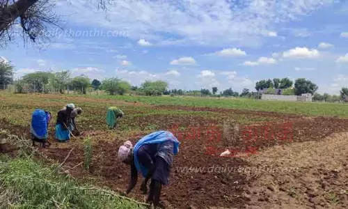 விவசாய பணிகள் தீவிரம்