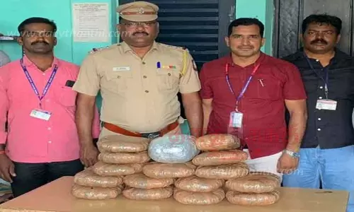 ஈரோடு வழியாக ரெயிலில் கடத்தப்பட்ட 16 கிலோ கஞ்சா பறிமுதல் ஈரோடு வழியாக ரெயிலில் கடத்தப்பட்ட 16 கிலோ கஞ்சா பறிமுதல்