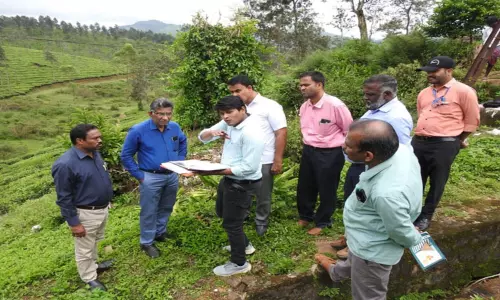 பந்தலூர் அருகே திடீர் பள்ளம் ஏற்பட்ட தோட்டத்தில் அதிகாரிகள் ஆய்வு