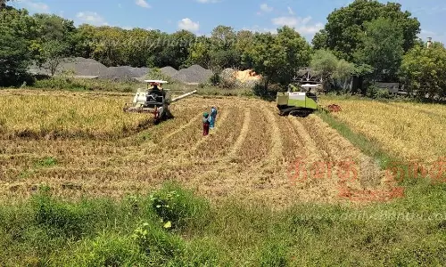 எந்திரம் மூலம் குறுவை அறுவடை பணி மும்முரம்