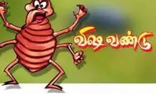 விஷ வண்டு கடித்து கூலி தொழிலாளர்கள் படுகாயம்