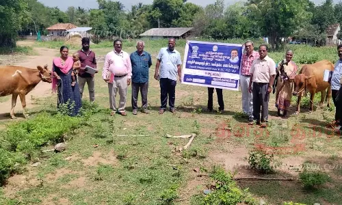 கால்நடைகள் கணக்கெடுப்பு பணி