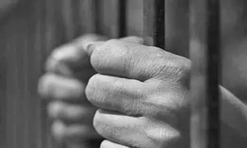 2 வாலிபர்களுக்கு 20 ஆண்டுகள் சிறை