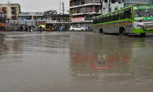 நெல்லையில் பலத்த மழை