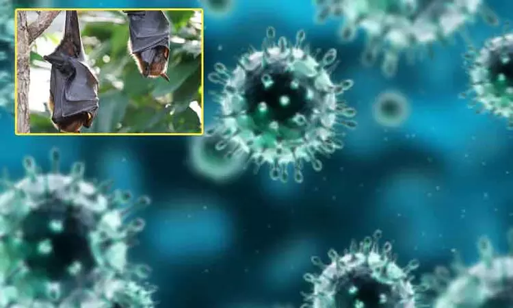 கடலூர் தொழிலாளிக்கு நிபா வைரஸ் பாதிப்பா? கடலூர் தொழிலாளிக்கு நிபா வைரஸ் பாதிப்பா?