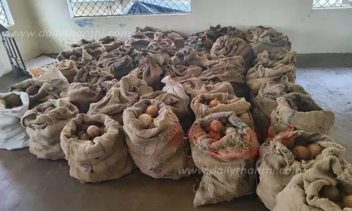 தேங்காய், பாக்கு மறைமுக ஏலம்