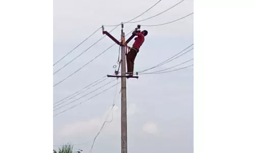 தடையில்லா மின்சாரம் வழங்க நடவடிக்கை