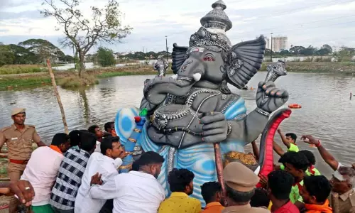 கோவையில் 257 விநாயகர் சிலைகள் கரைப்பு