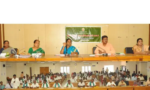 பாரம்பரிய நெல் விதைகளில் கலப்படம்