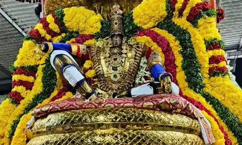 சேஷ வாகனத்தில் எழுந்தருளிய அண்ணன் பெருமாள்