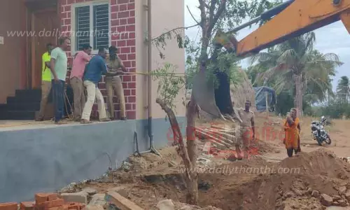 தென்காசியில் அகற்றப்பட்ட மரங்கள் ஆலங்குளத்தில் மறுநடவு