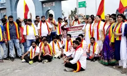 ஓசூர் அருகே கர்நாடக எல்லையில்கன்னட அமைப்பினர் சாலை மறியல் போராட்டம்காவிரி நீர் மேலாண்மை ஆணையத்தின் உருவ பொம்மையை எரித்ததால் பரபரப்பு