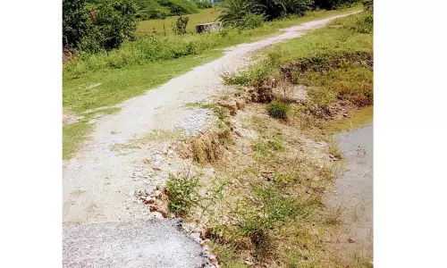 மயானத்திற்கு செல்ல சிமெண்டு சாலை அமைக்க வேண்டும்